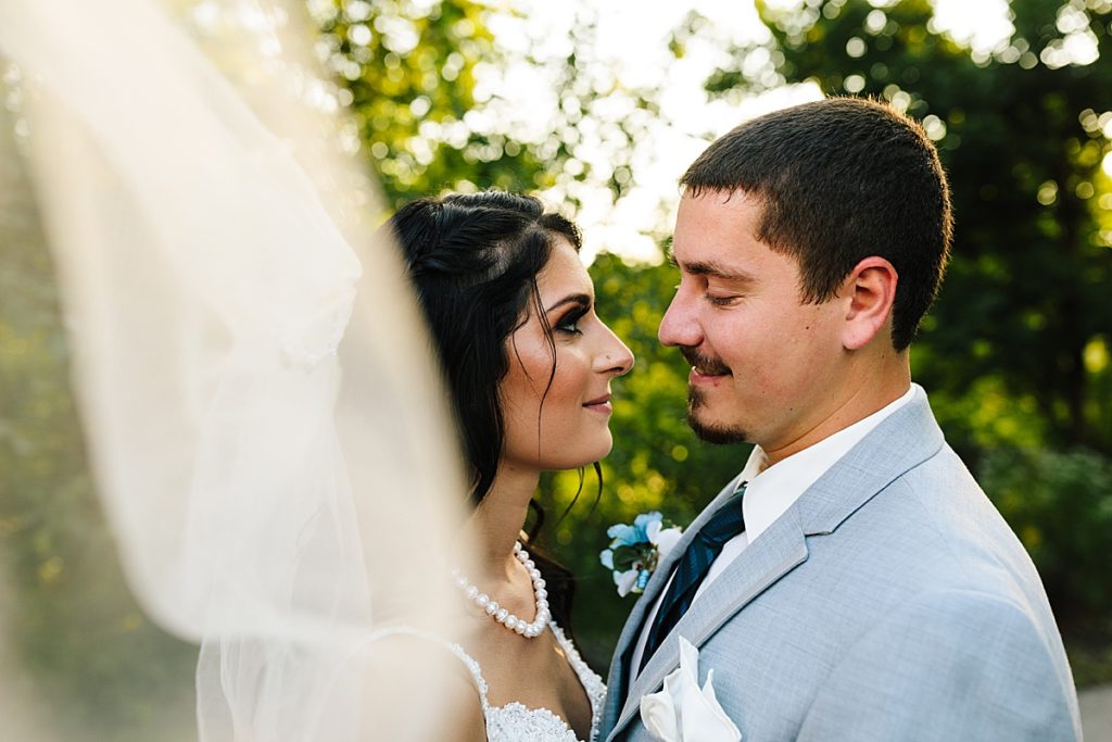 wedding pictures with brides veil
