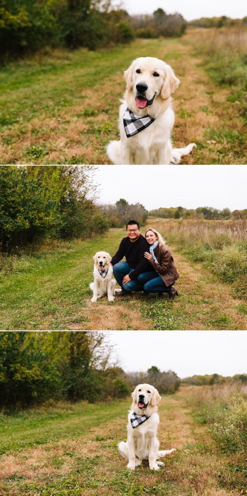 golden retriever wearing a black and white bandana, couple takes fall photos with their dog