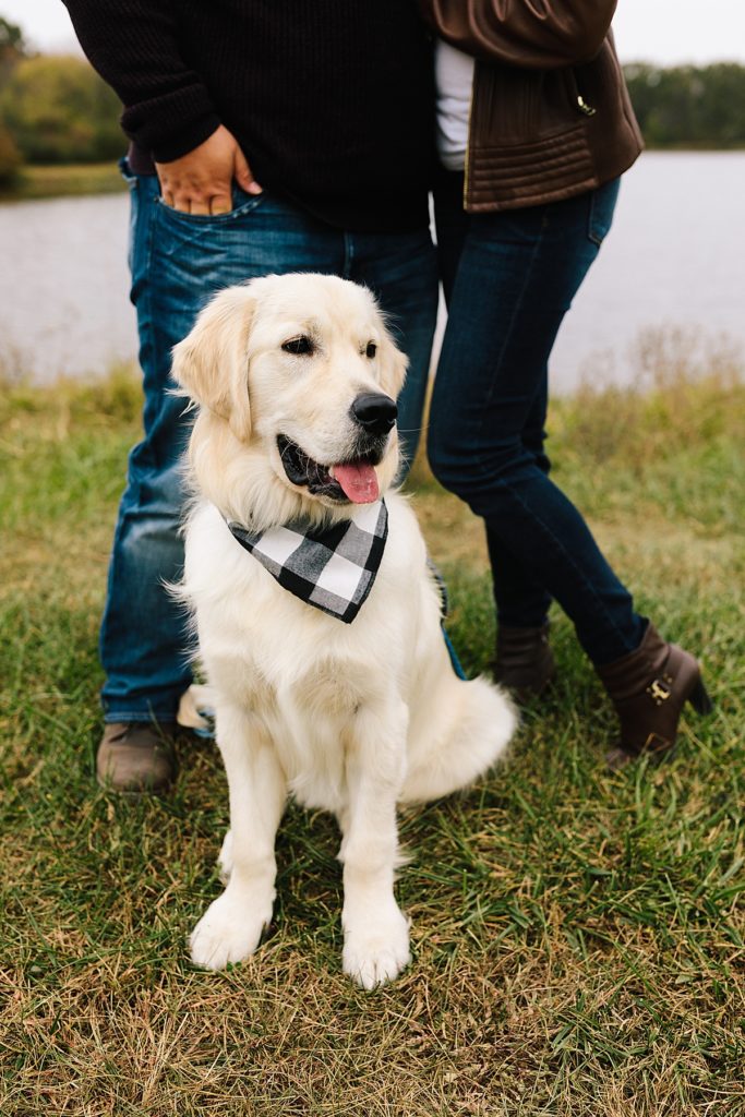 couple and their golden retriever wearing a black and white plaid bandana
