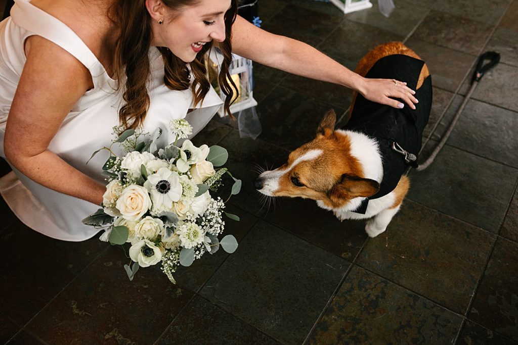 corgi on wedding day, dog tux, tux for a dog, how to have your dog in your wedding, dog ring bearer, bride with her dog, dog smelling flowers