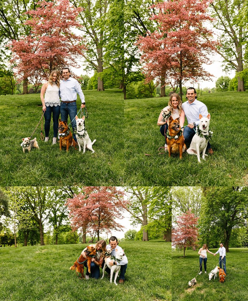 Engaged couple with their three dogs in a beautiful green park for their photo shoot with Kansas City Photographer.