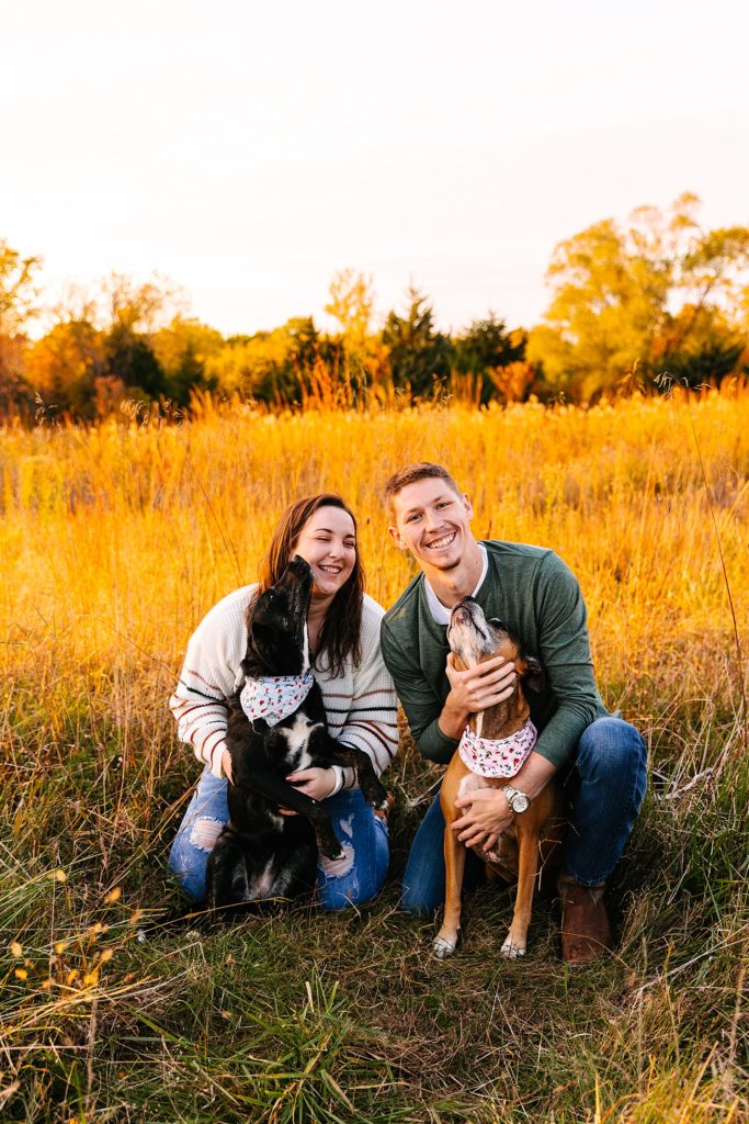 Engaged couple cuddling their two dogs in a field for their engagement session. 