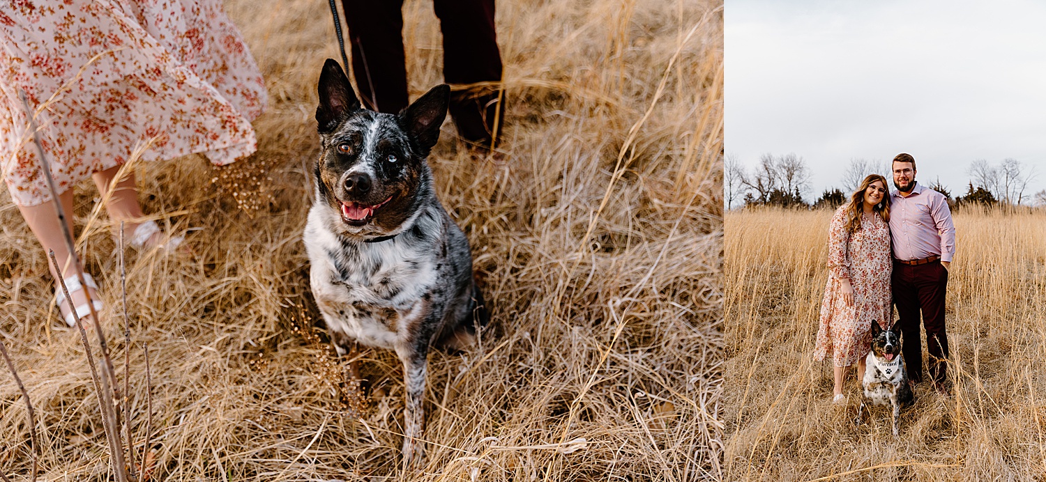 engagement photos with dogs at Shawnee Mission Park during fall