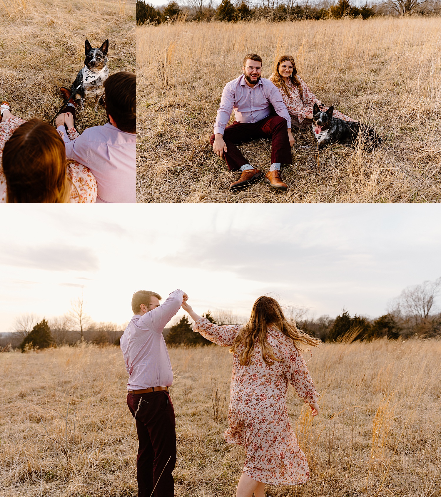 sitting in field during engagement session with dog wearing bandana collar 